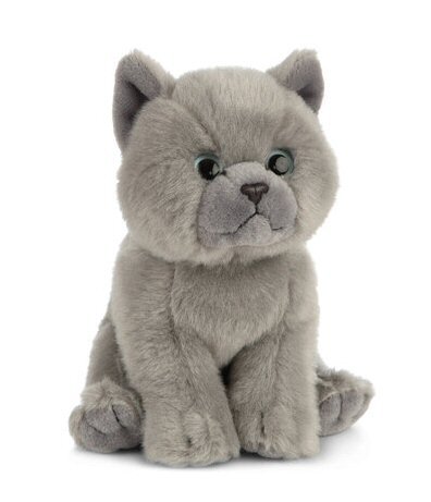 Soft Toy British Blue (Grey) Shorthair Kitten by Living Nature (17cm) AN447
