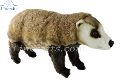 Soft Toy Japanese Badger by Hansa (56cm.L) 8148