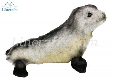 Soft Toy African Seal Pup by Hansa (26 cm.L) 6700