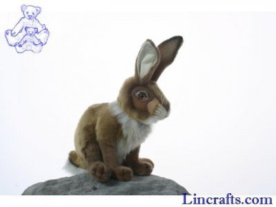 Soft Toy Jack Rabbit, Hare, by Hansa (24cm) 3145