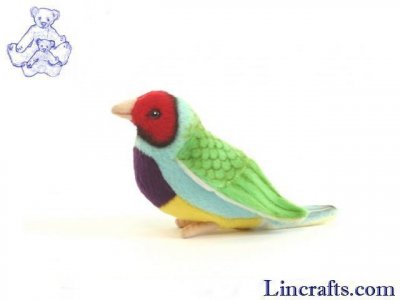 Soft Toy  Bird, Gouldian Finch by Hansa (11cm.L) 5692