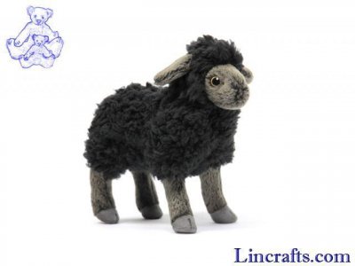 Soft Toy Black Sheep, Lamb by Hansa (17cm) 5975