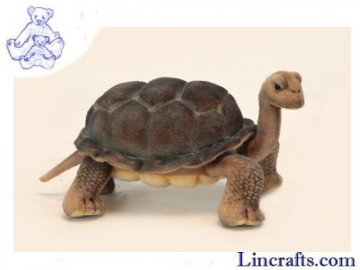Soft Toy Galapagus Turtle (Tortoise) by Hansa (30cm) 6461