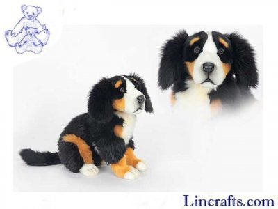 Soft Toy Dog, Bernese Pup by Hansa (56cmL) 6855