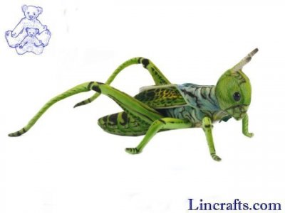 Soft Toy Locust, Grasshopper by Hansa (27cm) 6879