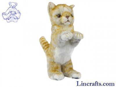 Soft Toy Ginger Cat Sitting by Hansa (22cm) 7013