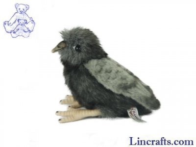 Soft Toy Bird, Pigeon Chick by Hansa (15cm) 7044