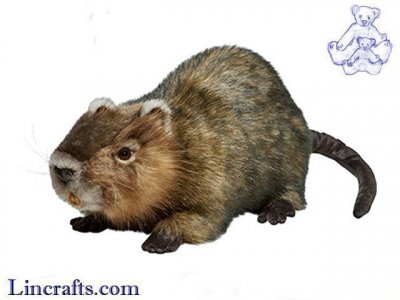 Soft Toy Water Rat (Ragondin) by Hansa (55cm.L) 7166
