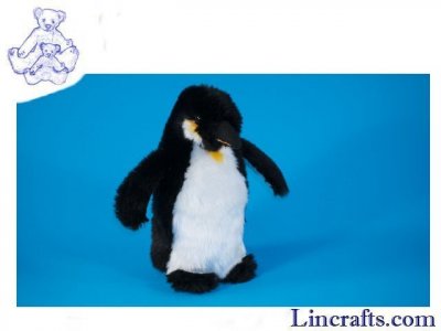 Soft Toy Bird, Emeror Penguin by Dowman Soft Touch (25cm) GS120