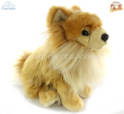 Soft Toy Pomeranian Puppy Dog by Faithful Friends (25cm)H FPOM03