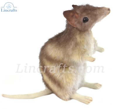 Soft Toy Eastern Barred Bandicoot by Hansa (16cm) 6235