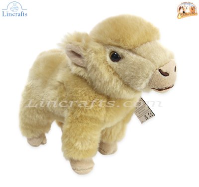Plush Soft Toy Highland Calf, Isla, by Faithful Friends (17cm)H FHC25