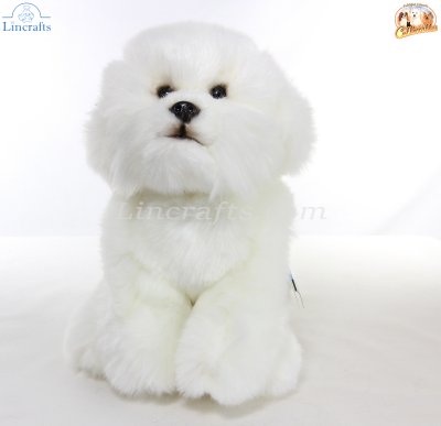 Soft Toy Bichon Frise Dog by Faithful Friends (23cm)H FBF03