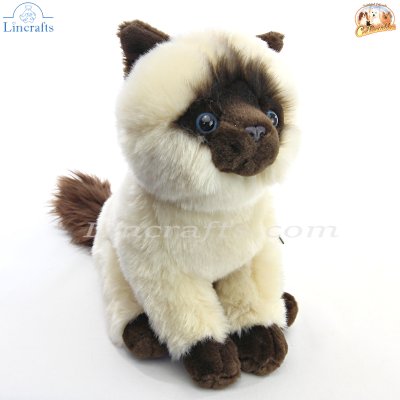 Soft Toy Plush Siamese Cat by Faithful Friends (25cm)H FSIA03