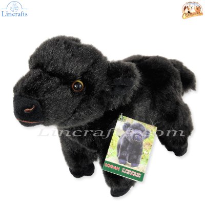 Plush Soft Toy Highland Calf, Logan, by Faithful Friends (17cm)H FHC26