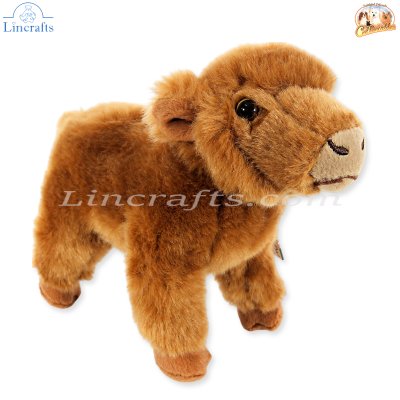 Plush Soft Toy Highland Calf, Harris, by Faithful Friends (17cm)H FHC27