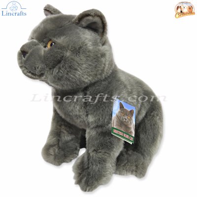 Plush Soft Toy British Blue Cat by Faithful Friends (25cm)H FBBC03