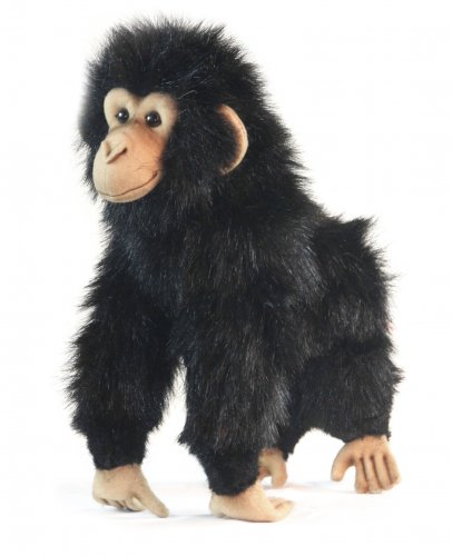 Soft Toy Chimpanzee by Hansa (30cm) 5359