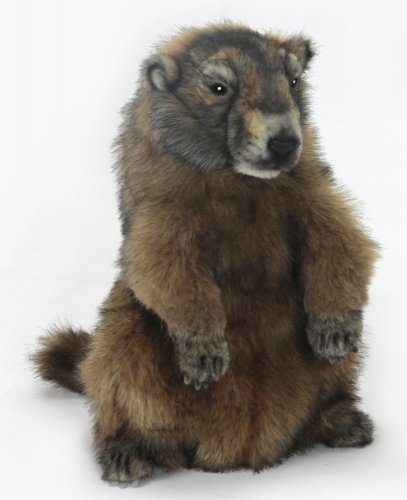 Soft Toy Marmot by Hansa (34cm.H) 6749