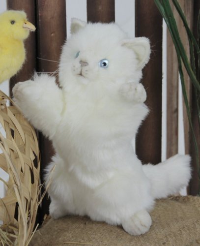 Soft Toy White Kitten, Cat, by Hansa (24cm) 3435