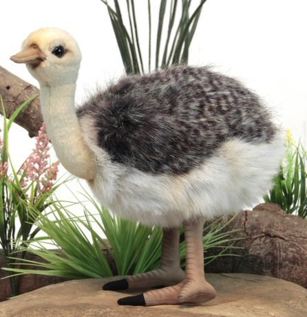 Soft Toy Bird, Ostrich by Hansa (38cm) 3820