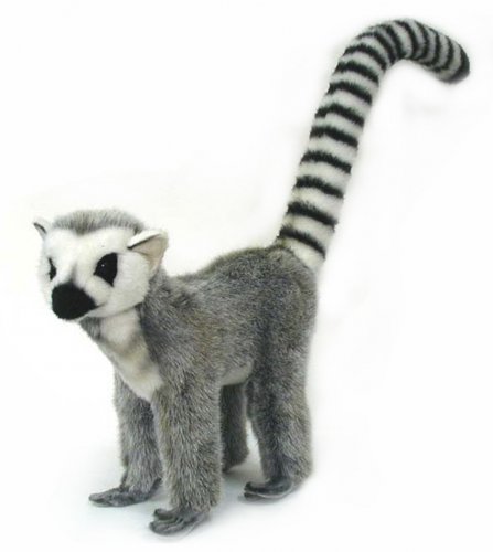 Soft Toy Lemur Wildcat by Hansa (22cm) 3700