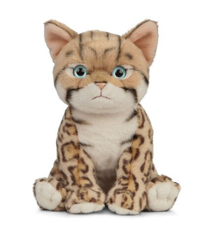 Soft Toy Bengal Kitten by Living Nature (18cm) AN448