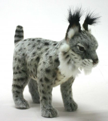 Soft Toy Wildcat, Spanish Lynx by Hansa (35cm) 5029