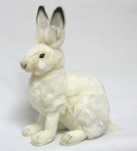 Soft Toy Snow, Arctic Hare by Hansa (27cm) 4075