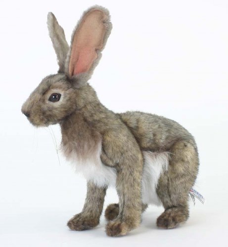Soft Toy Jack Rabbit, Hare by Hansa (30cm) 5304