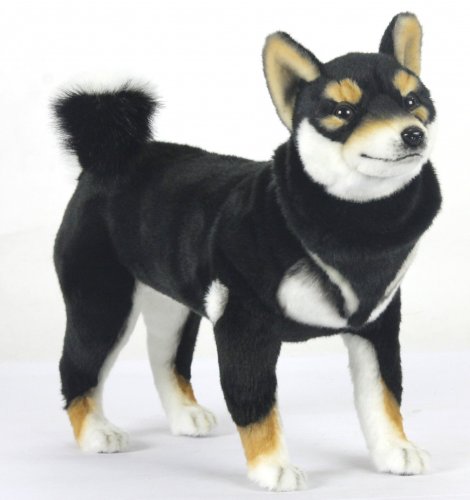 Soft Toy Black Shiba Dog Standing by Hansa (50cm.L) 7242