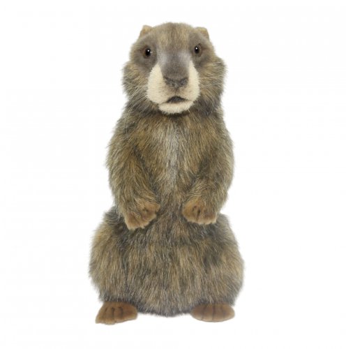 Soft Toy Alpine Marmot by Hansa (29cm) H.8101