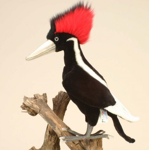 Ivory Billed Woodpecker Bird by Hansa (41cm) 4919