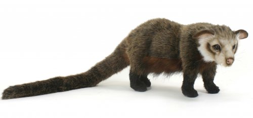 Soft Toy Asian Palm Civet by Hansa (44cm) 5581