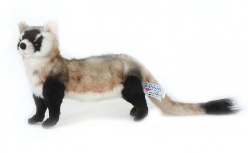 Soft Toy Ferret (Black Footed) by Hansa (28cm) 5196