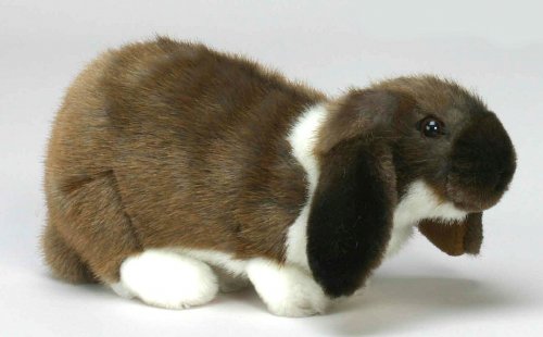 Soft Toy Rabbit, German Lop-Eared Bunny by Hansa (25cmL.) 4836