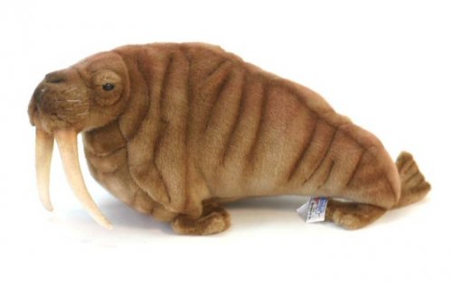 Soft Toy Walrus by Hansa (38cm) 5327