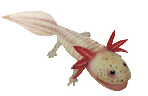 Soft Toy Axolotl by Hansa (45cm) 7802
