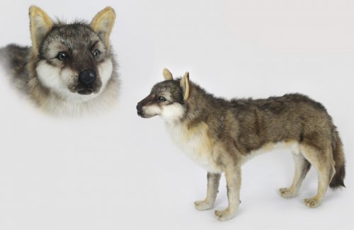 Soft Toy Wolf Standing by Hansa (60cm.L) 6760