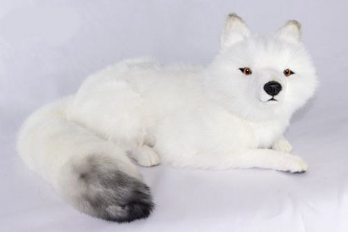 Soft Toy Arctic Fox Laying by Hansa (60cm.L) 7500
