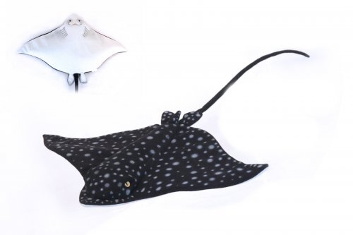 Soft Toy Fish, Leopard Ray Spotted  (53cm)