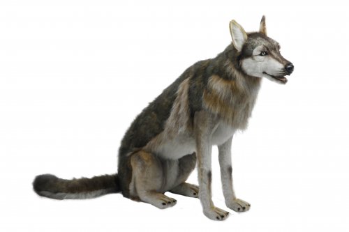 Soft Toy Wolf Sitting by Hansa (80cmH) 6738