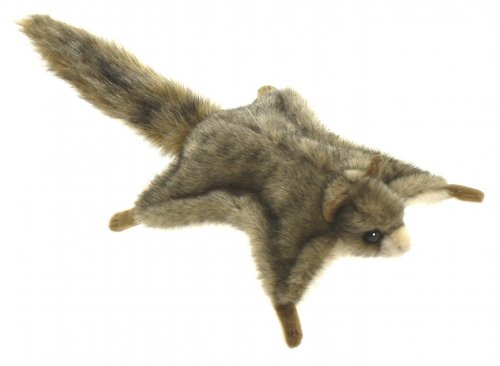 Soft Toy Flying Squirrel by Hansa (21cm) 4116