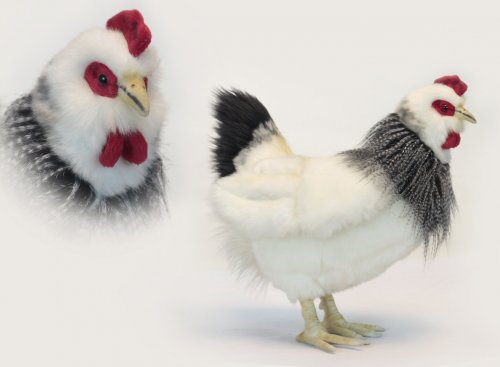 Soft Toy Bird, French Hen, Chicken by Hansa (38cm) 5034