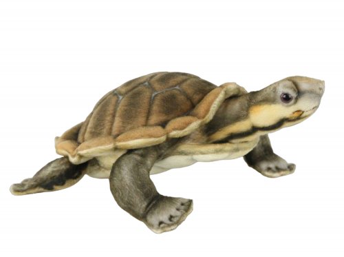 Soft Toy Manning River Turtle by Hansa (28cm) 8426