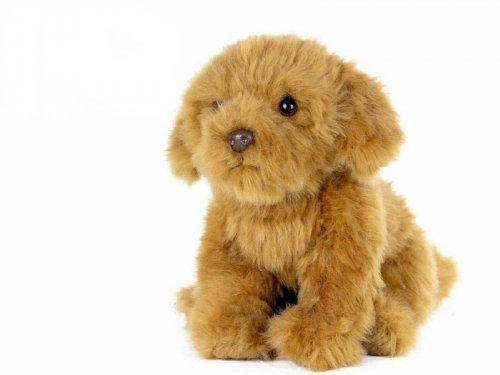 Soft Toy Cavapoo by Living Nature (23cm) AN631