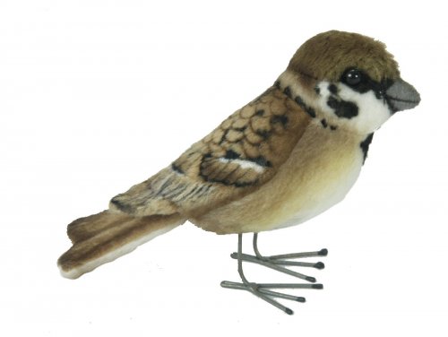 Soft Toy Tree Sparrow by Hansa (9cm) 7019