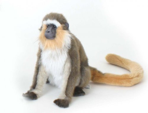 Soft Toy Green Monkey by Hansa (30cm) 5187