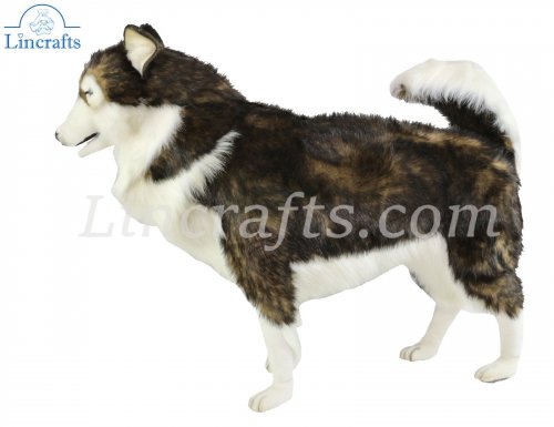 Soft Toy Brown White Husky Dog By