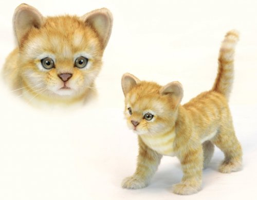 Soft Toy Cat, Ginger Kitten by Hansa (30cm.L) 6573